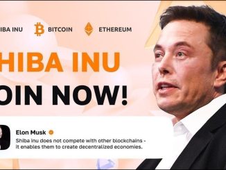 Shiba Inu: Elon Musk & SHIB Holders predict $0.001 per SHIB | Cryptocurrency NEWS